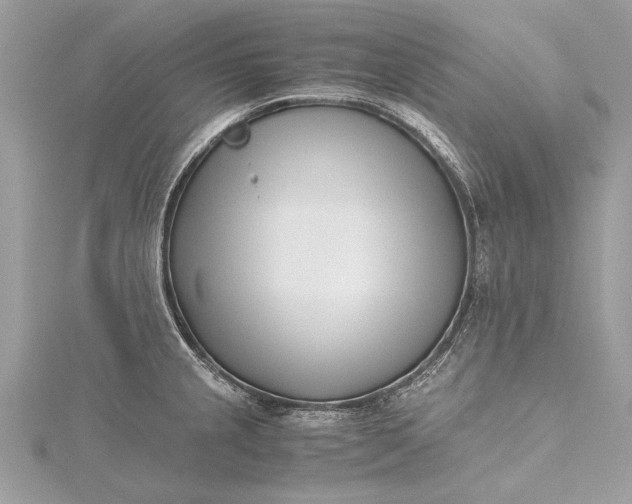 X0000115501237200911201611