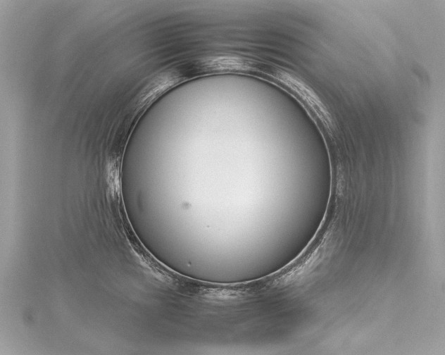 X0000115501241200911201611