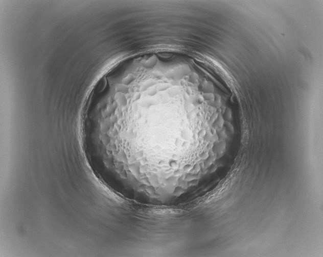 X0000115501243200911201611