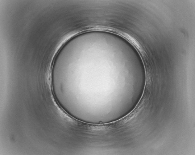 X0000115501247200911201611