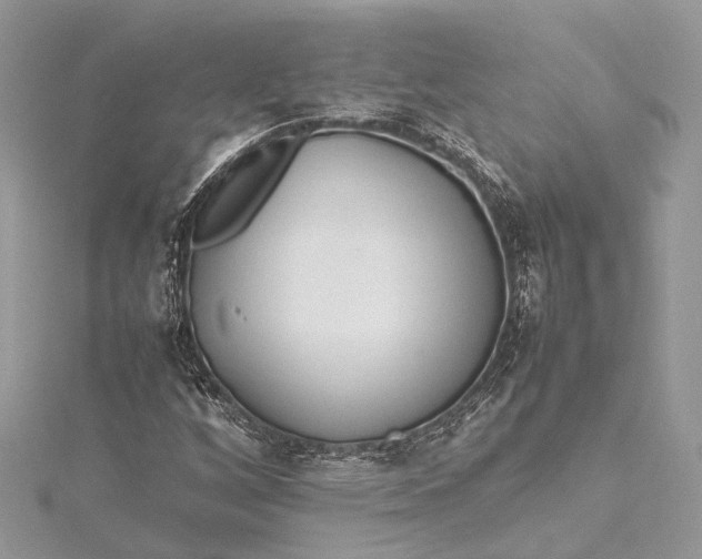 X0000115501256200911201611