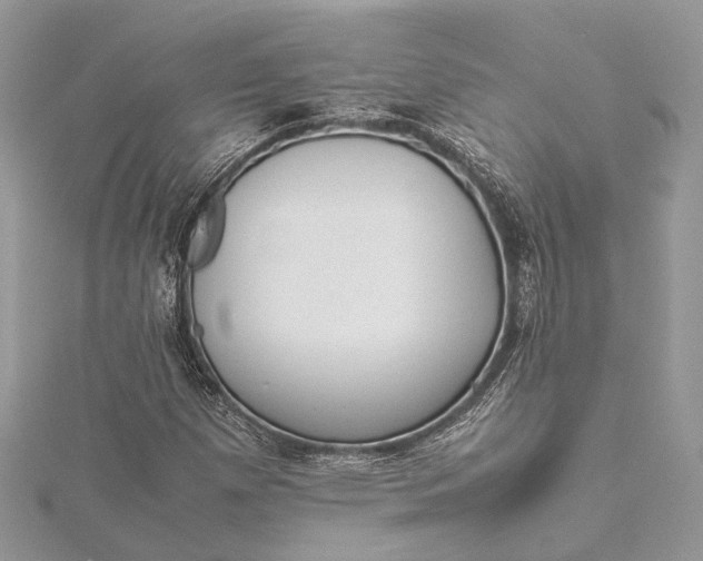 X0000115501257200911201611