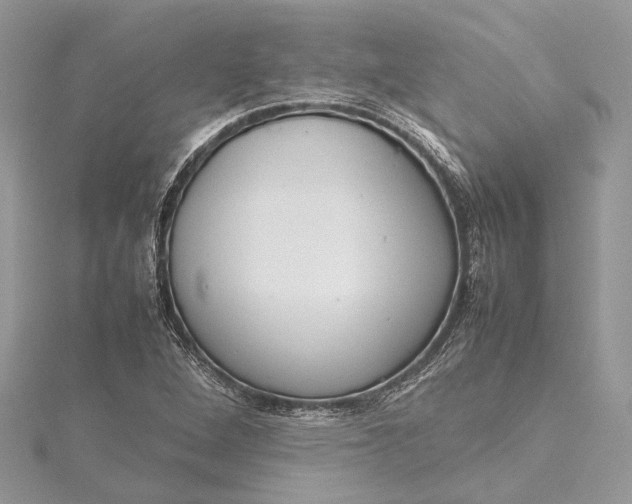 X0000115501264200911201611