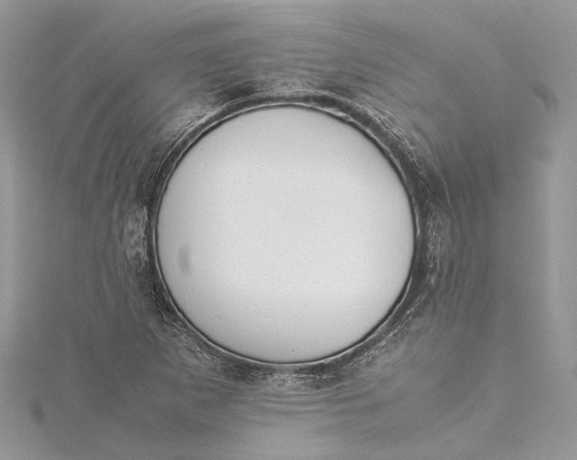 X0000115501265200911201611