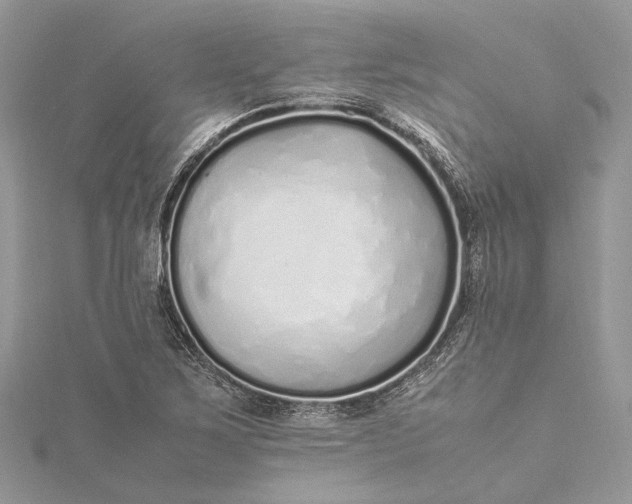 X0000115501267200911201611
