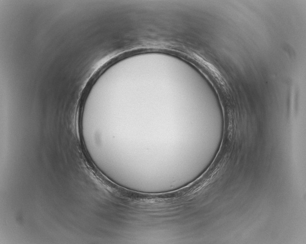 X0000115501272200911201611