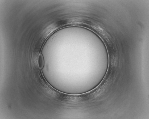 X0000115501273200911201611
