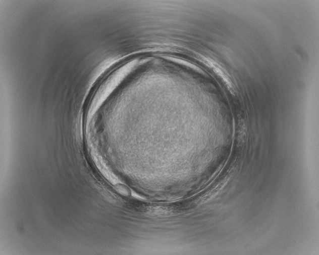 X0000115501275200911201611