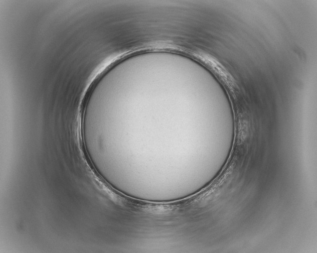 X0000115501286200911201610