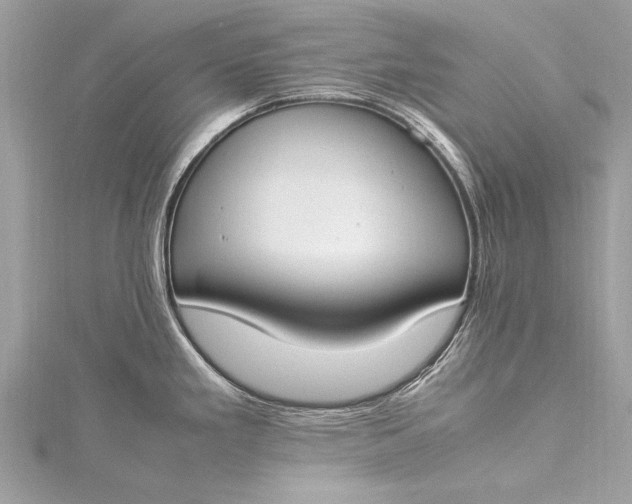 X0000115501293200911201610