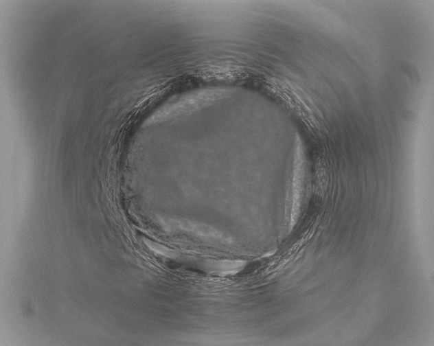 X0000115501297200911201610