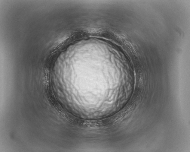X0000115501301200911201610