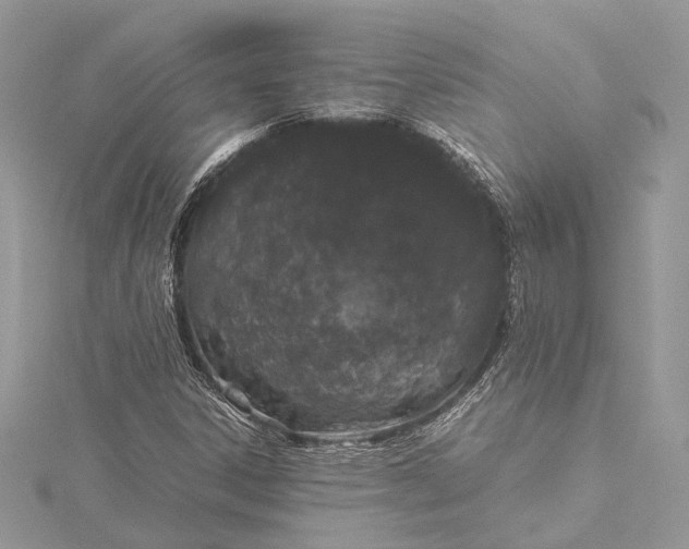 X0000115501306200911201610