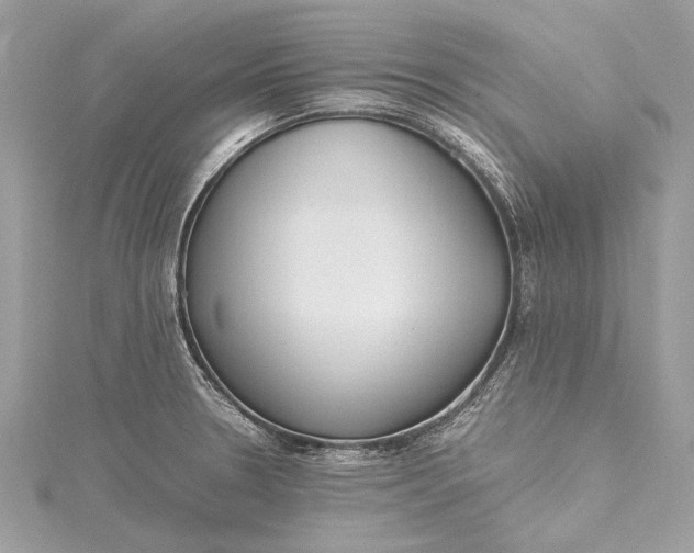 X0000115501330200911201610