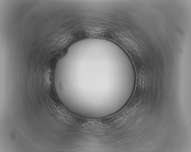 X0000115501346200911201610