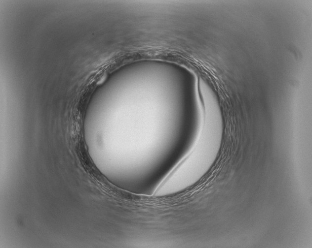 X0000115501349200911201610