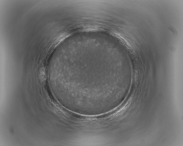 X0000115501353200911201610