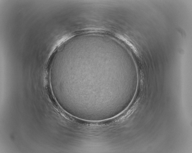 X0000115501357200911201609