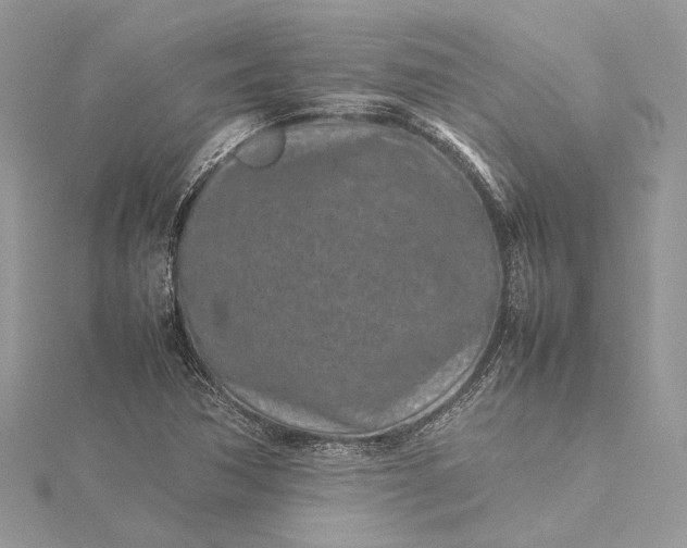 X0000115501362200911201609