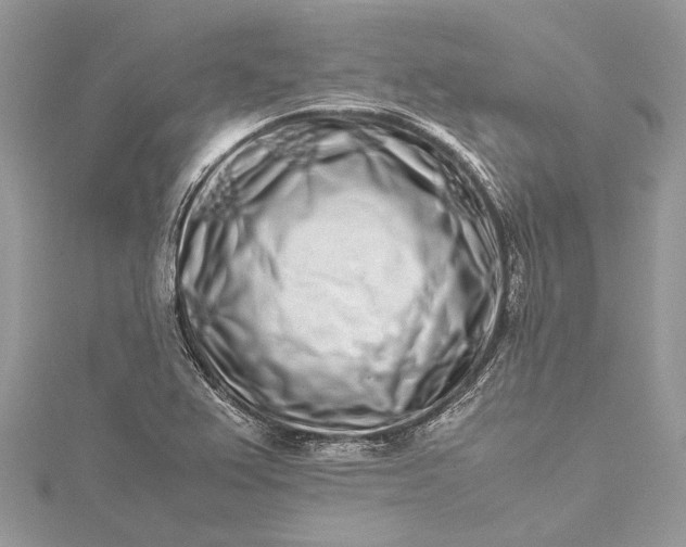 X0000115501367200911201609