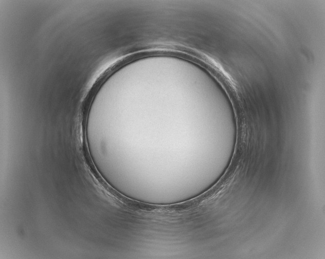 X0000115501368200911201609