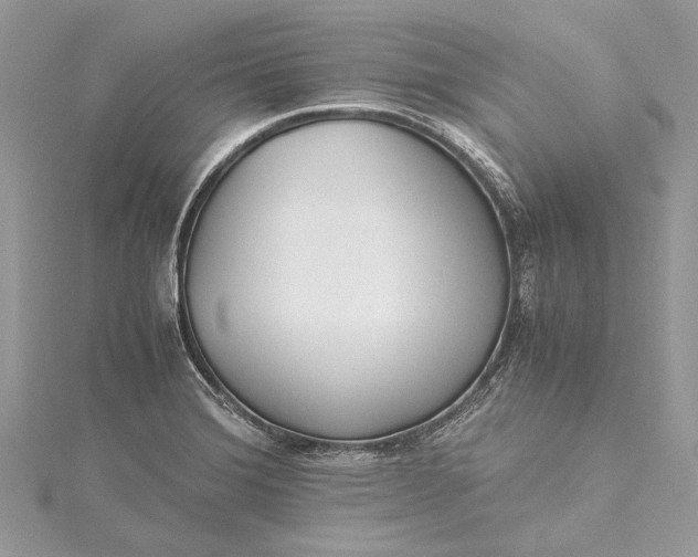 X0000115501372200911201609
