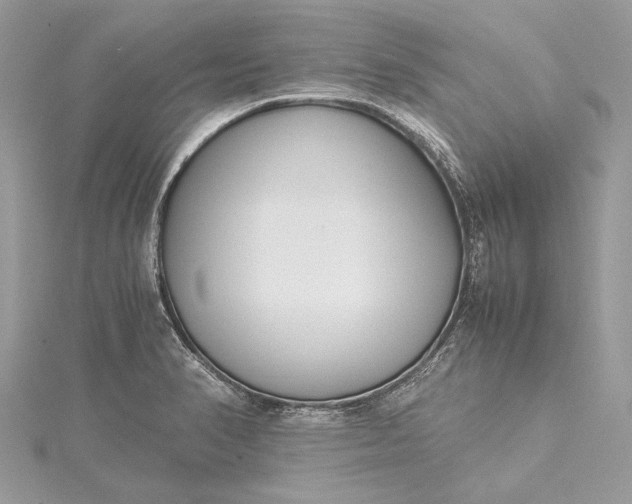 X0000115501374200911201609