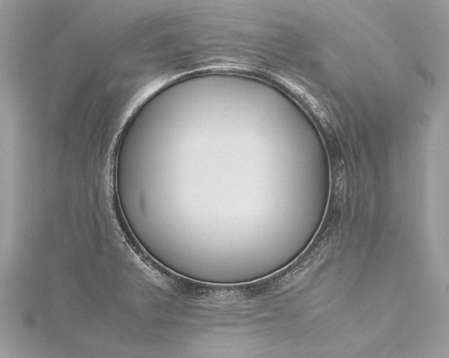 X0000115501375200911201609
