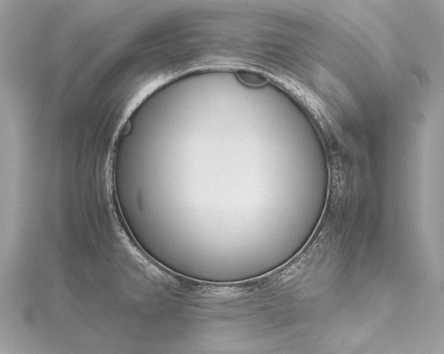 X0000115501382200911201609