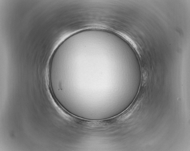X0000115501391200911201609