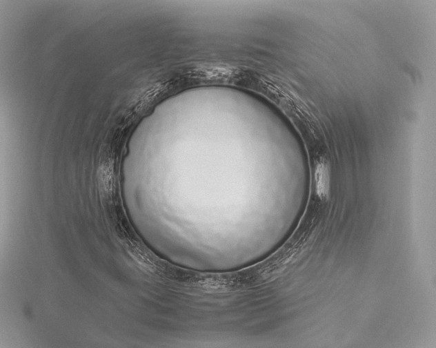 X0000115501395200911201608