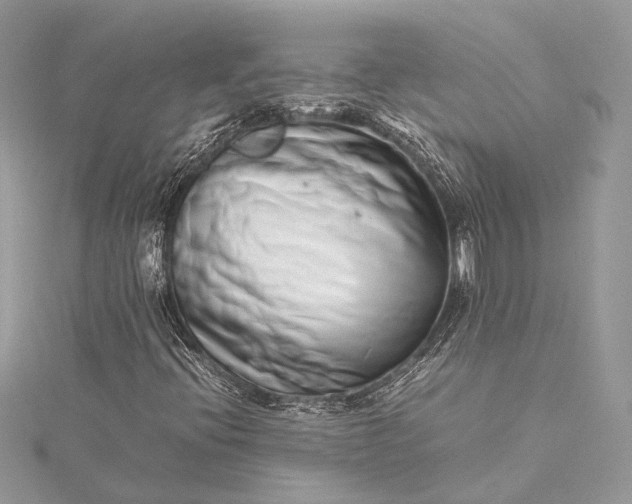 X0000115501396200911201608