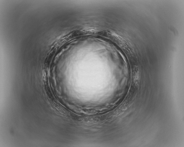 X0000115501397200911201608