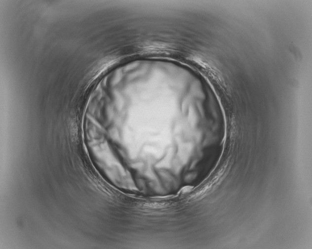 X0000115501401200911201608
