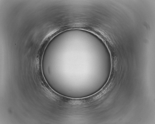 X0000115501402200911201608