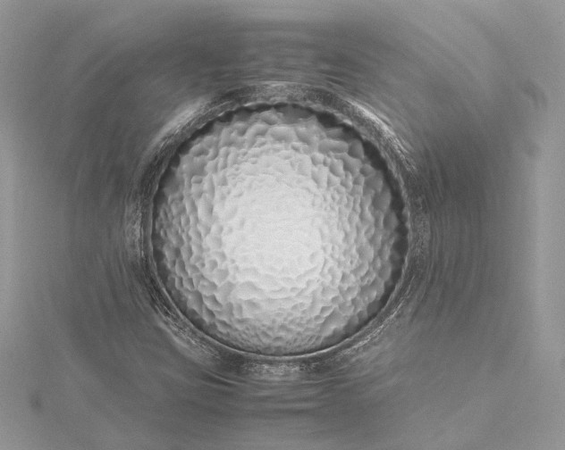 X0000115501403200911201608