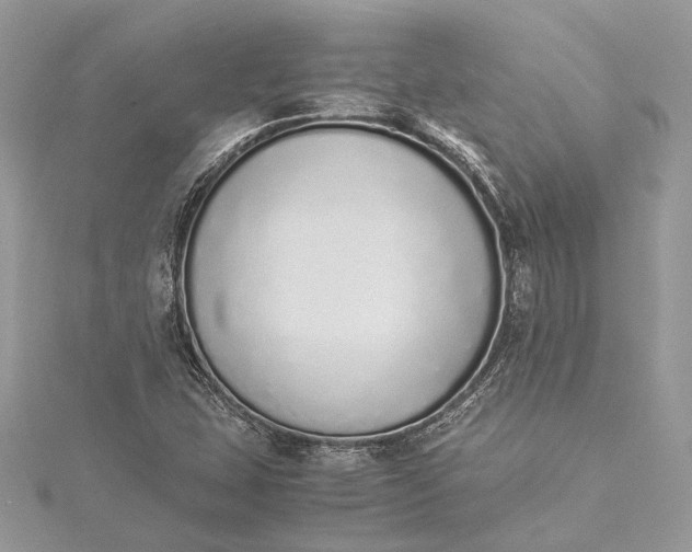 X0000115501407200911201609