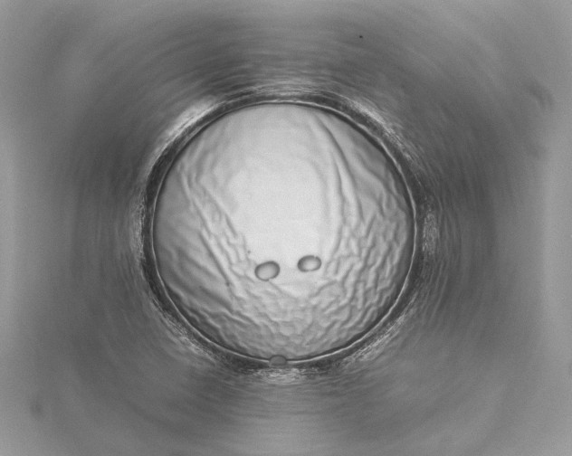 X0000115501410200911201609