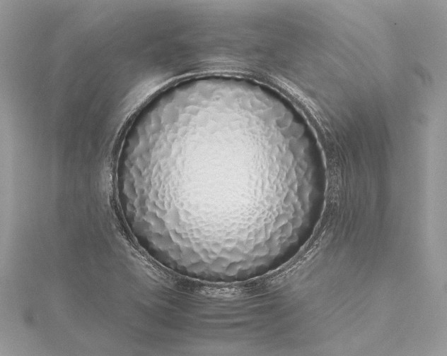 X0000115501415200911201609