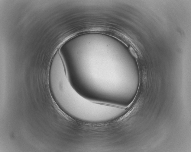 X0000115501417200911201609