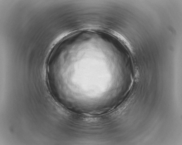 X0000115501419200911201609