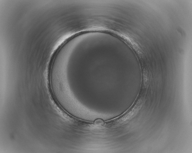 X0000115501422200911201609