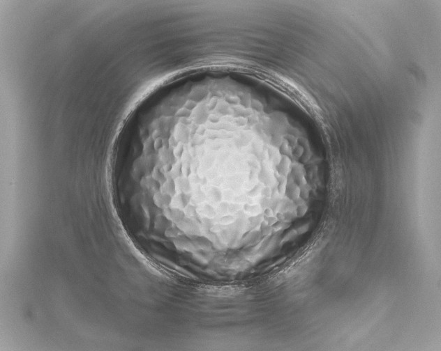 X0000115501429200911201609