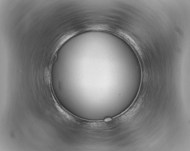 X0000115501433200911201609
