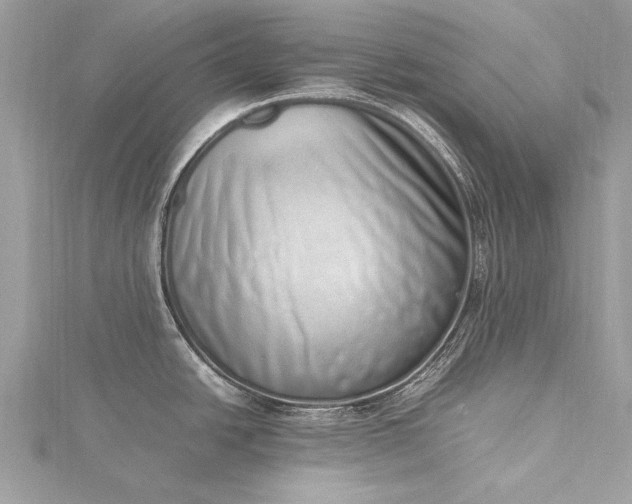 X0000115501438200911201609