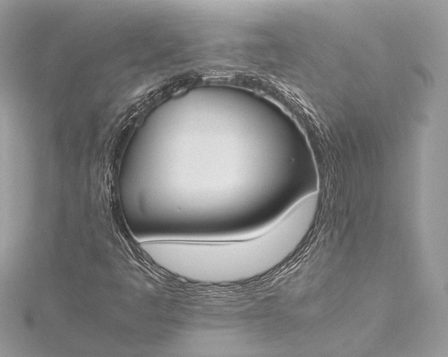 X0000115501445200911201608