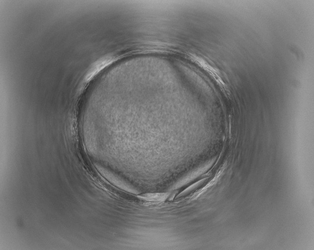 X0000115501453200911201608