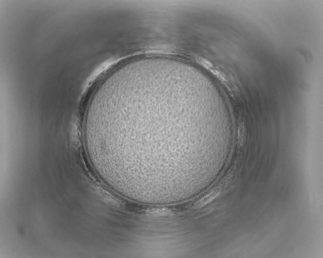 X0000115501454200911201608