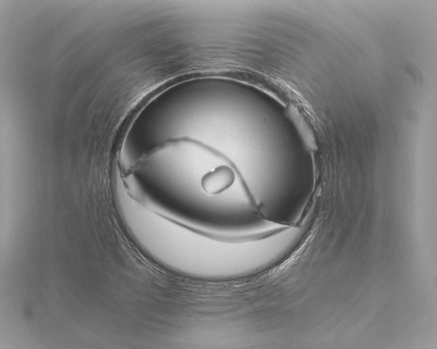 X0000115501457200911201608