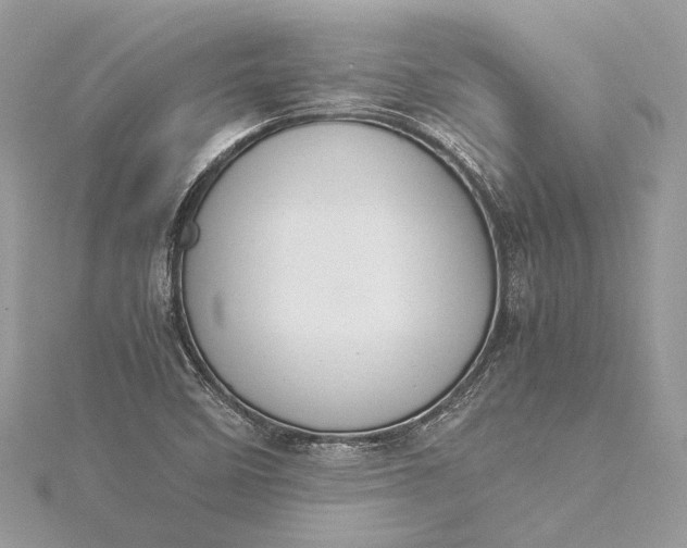 X0000115501458200911201608